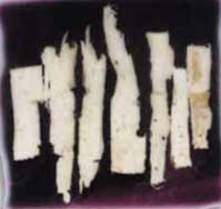 BILD: Pasak Bumi