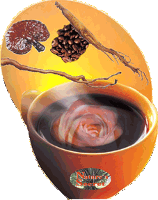 BILD: Tasse Ginscafe mit Inhaltsstoffen