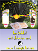 LINK/BILD: Poster ToxinExtraktor by Koyotakara