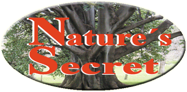 LINK/BILD: EShop + Logo Natures Secret