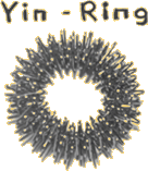 BILD: Yin-Ring